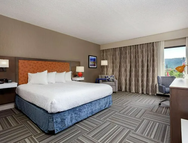 Hampton Inn Kingsport hotel detail image 4