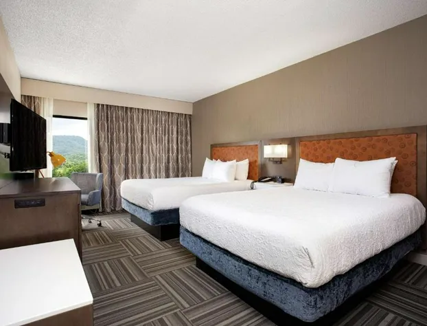 Hampton Inn Kingsport hotel detail image 4