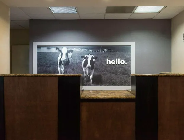 Hampton Inn Brooksville Dade hotel detail image 4