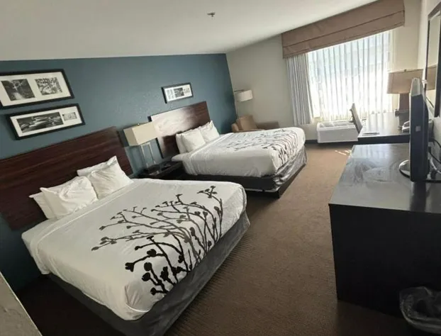 Sleep Inn & Suites Palatka North hotel detail image 2