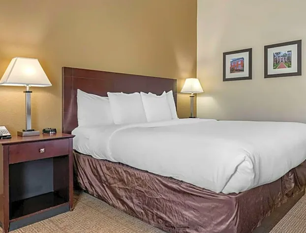 Comfort Inn & Suites DeLand - near University hotel detail image 4