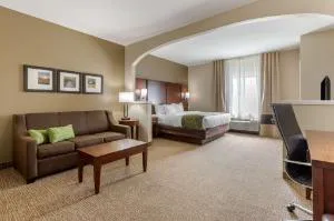 Comfort Suites Johnson City near University hotel detail image 2