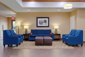 Comfort Suites Johnson City near University hotel detail image 2