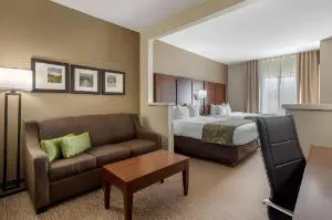 Comfort Suites Johnson City near University hotel detail image 4