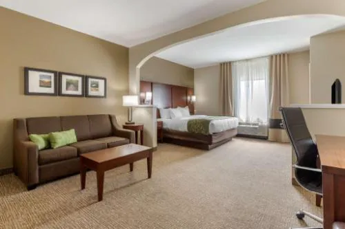 Comfort Suites Johnson City near University hotel detail image 3