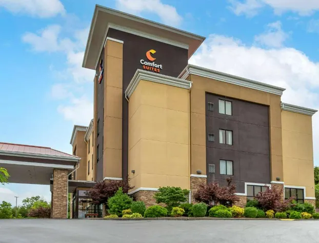 Comfort Suites Kingsport South hotel detail image 1