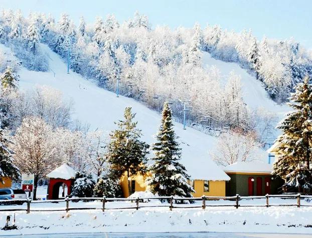 Calabogie Peaks Hotel, Ascend Hotel Collection hotel detail image 4