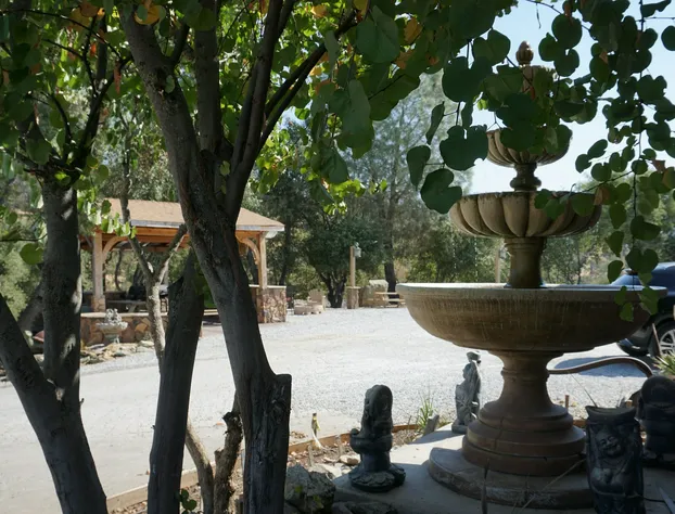 Yosemite Gold Country Lodge hotel detail image 4