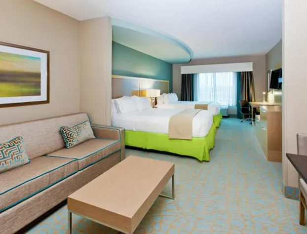 Holiday Inn Express Hotel & Suites Warner Robins North West by IHG hotel detail image 2