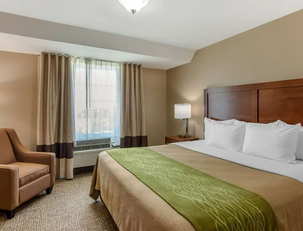 Comfort Inn & Suites El Centro I - 8 hotel detail image 4