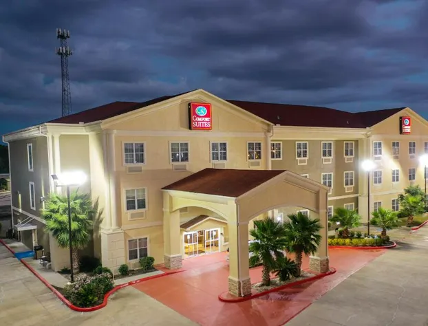 Comfort Suites Tomball Medical Center hotel detail image 2