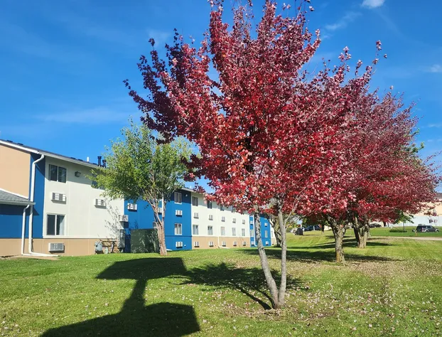 Super 8 by Wyndham Rockford I-90/Casino District hotel detail image 4