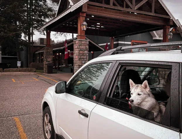 Hidden Valley Resort, an Ascend Collection Resort hotel detail image 2