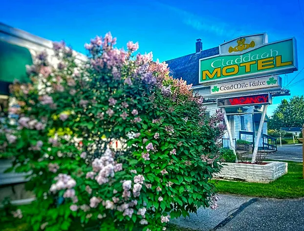 Claddagh Motel & Suites hotel detail image 3