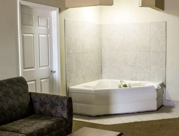 Quality Inn & Suites Wilson I-95 hotel detail image 3