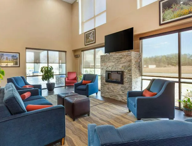 Comfort Suites Wilson I-95 hotel detail image 3