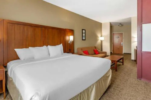 Comfort Suites Clayton - Garner hotel detail image 3