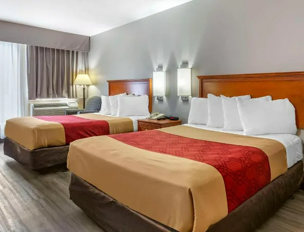 Econo Lodge & Suites Southern Pines - Pinehurst hotel detail image 4