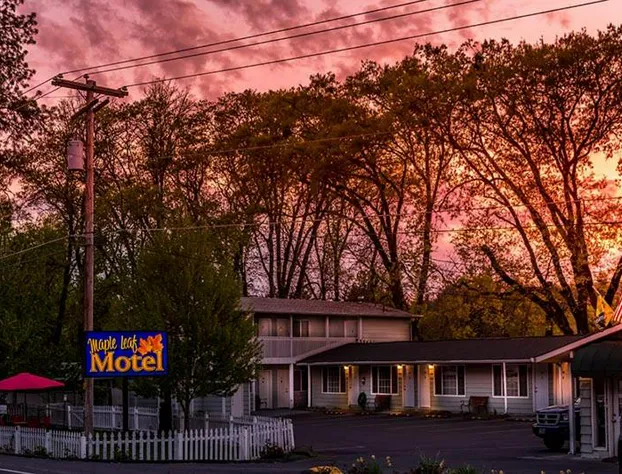 Maple Leaf Motel hotel detail image 3