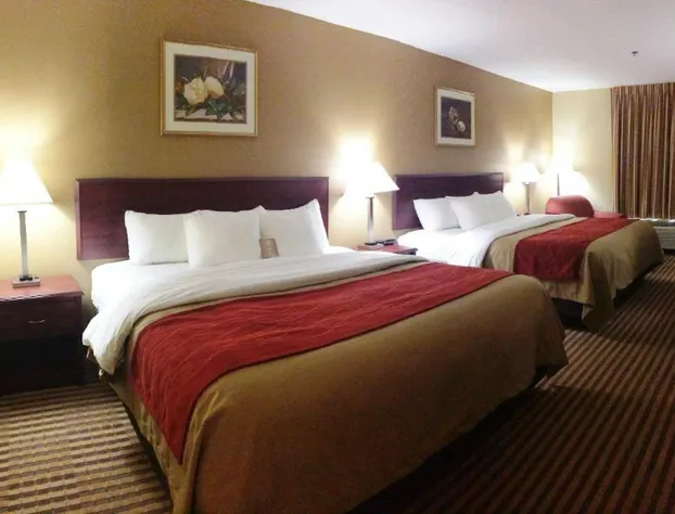 Comfort Inn New River hotel detail image 4