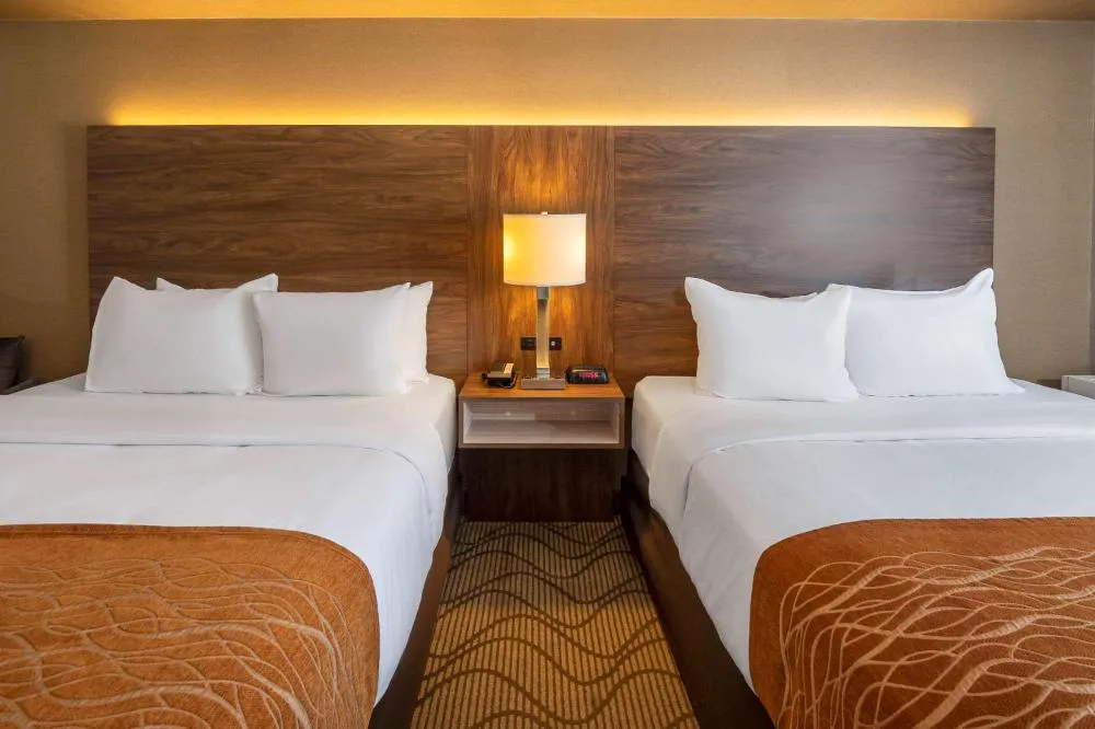 Comfort Inn Lakeshore hotel hero