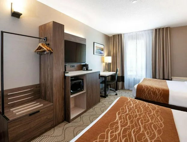 Comfort Inn Lakeshore hotel detail image 2