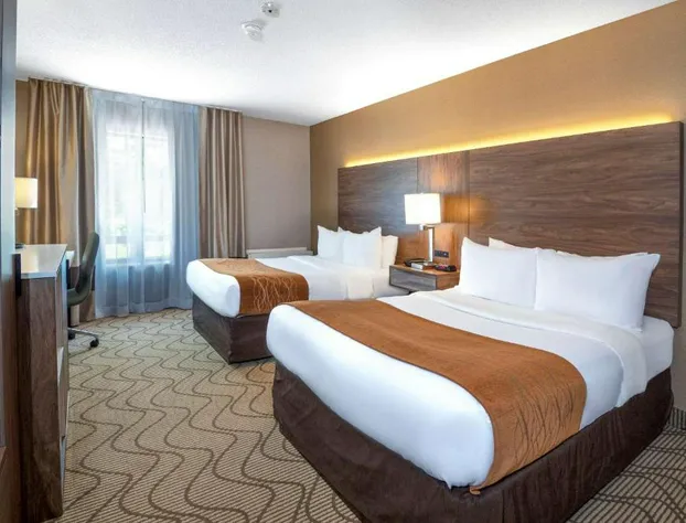 Comfort Inn Lakeshore hotel detail image 3