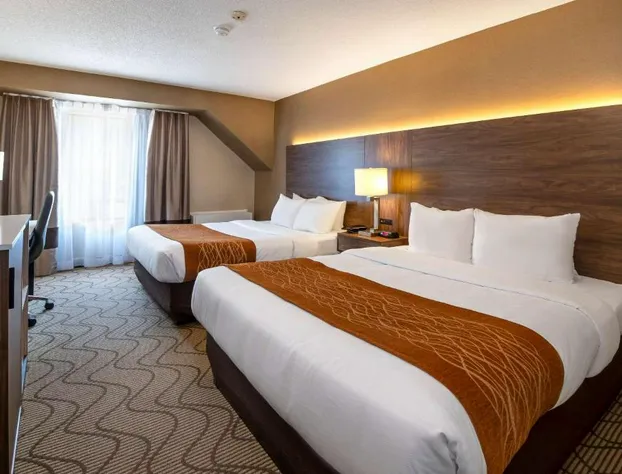 Comfort Inn Lakeshore hotel detail image 4