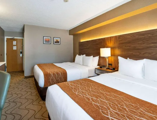 Comfort Inn Lakeshore hotel detail image 4