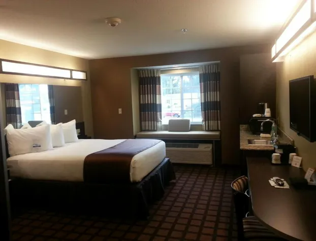 Microtel Inn & Suites by Wyndham Carrollton hotel detail image 4