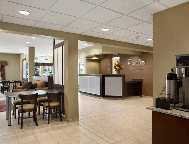 Microtel Inn & Suites by Wyndham Carrollton hotel detail image 3