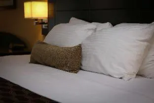 Best Western Inn of Del Rio hotel detail image 3