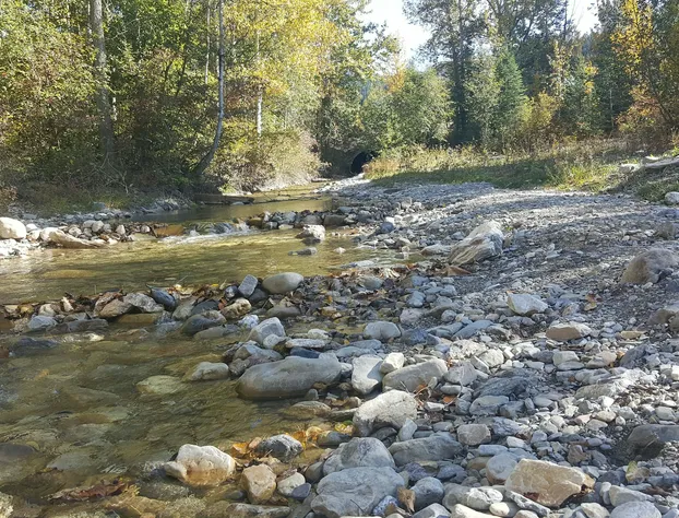 Travelodge by Wyndham Golden Sportsman Lodge hotel detail image 2
