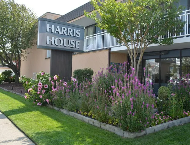 Harris House By the Beach hotel detail image 2