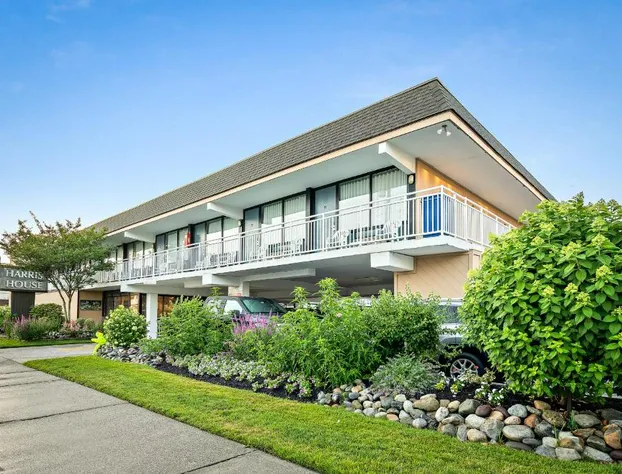 Harris House By the Beach hotel detail image 3