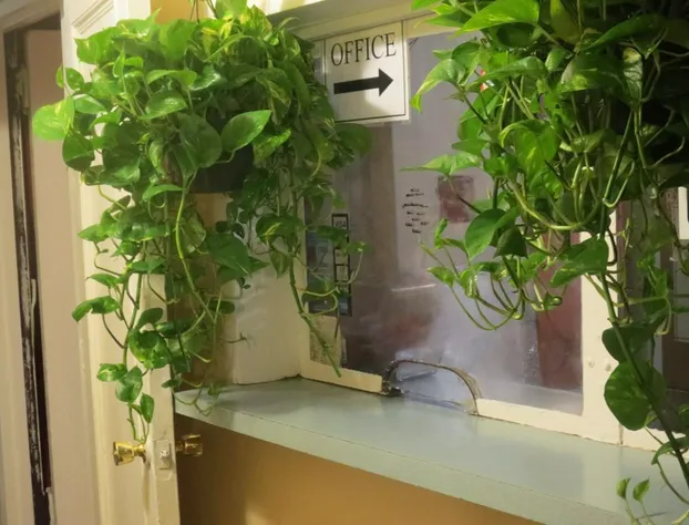 Neptune Hotel hotel detail image 4