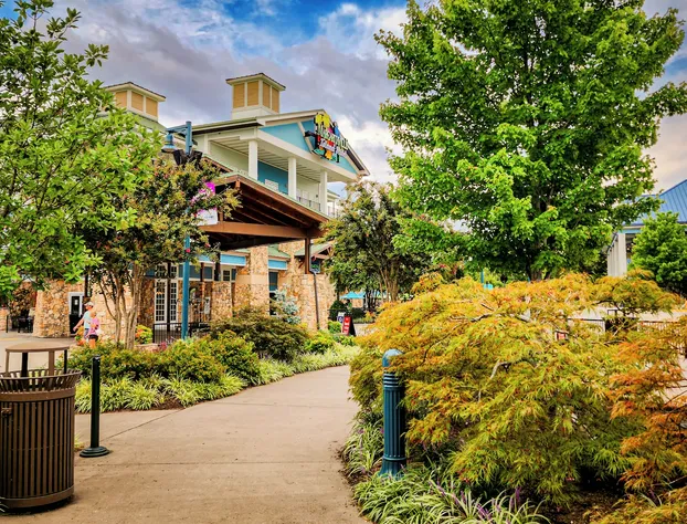 Margaritaville Island Hotel hotel detail image 2