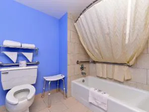 Americas Best Value Inn Clear Lake hotel detail image 4