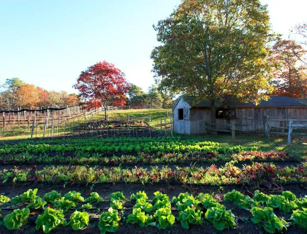 Chatham Bars Inn hotel detail image 3