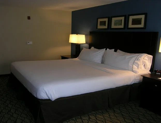 Holiday Inn Express & Suites Belle Vernon by IHG hotel detail image 3