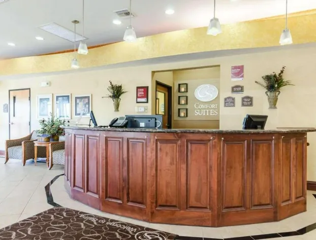 Comfort Suites Salina South hotel detail image 2