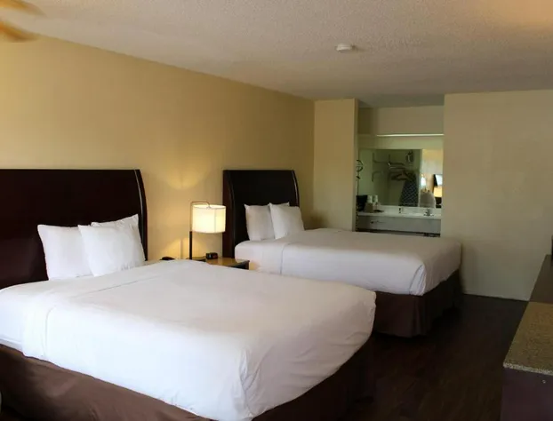 Executive Inn & Suites hotel detail image 2