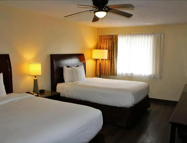 Executive Inn & Suites hotel detail image 4