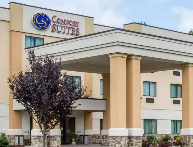 Comfort Suites hotel detail image 2