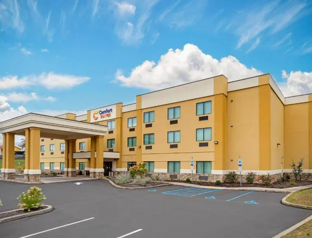Comfort Suites Lewisburg near University hotel detail image 3