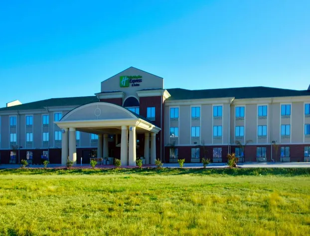 Holiday Inn Express & Suites Waller - Prairie View by IHG hotel detail image 2