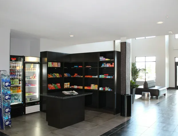 Holiday Inn Carlsbad by IHG hotel detail image 4