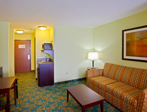 Holiday Inn Express & Suites - Thornburg, S. Fredericksburg by IHG hotel detail image 3