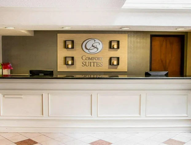 Comfort Suites McAlester hotel detail image 3