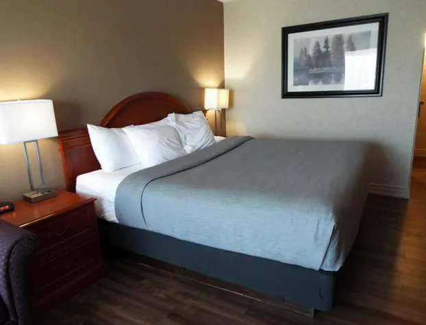 Quality Inn hotel detail image 4